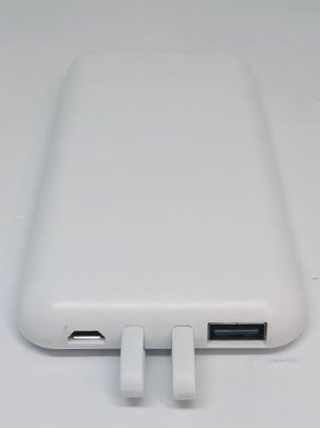 Power bank with built-in type-c & IPhone cable 2100029 фото